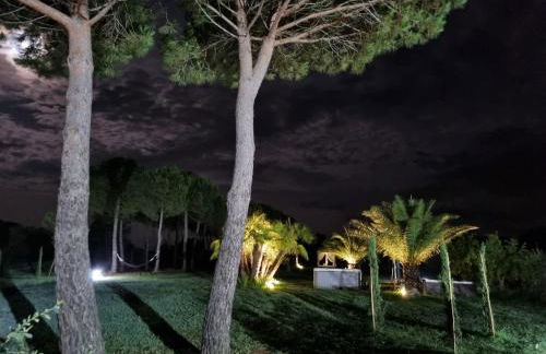 Agriturismo Cinque Novembre - Photo 27