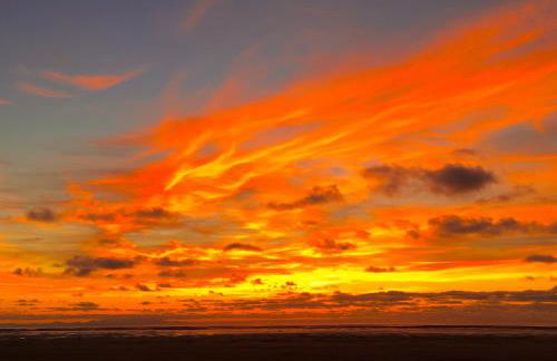 Woodlands Holiday Apartments - Foto 53