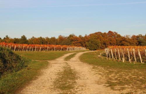 Maison de plain-pied avec parc arboré proche Zoo de Beauval - FR-1-491-335 - Foto 14