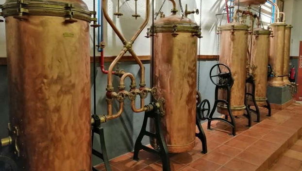 Conociendo los procesos de producción del vino