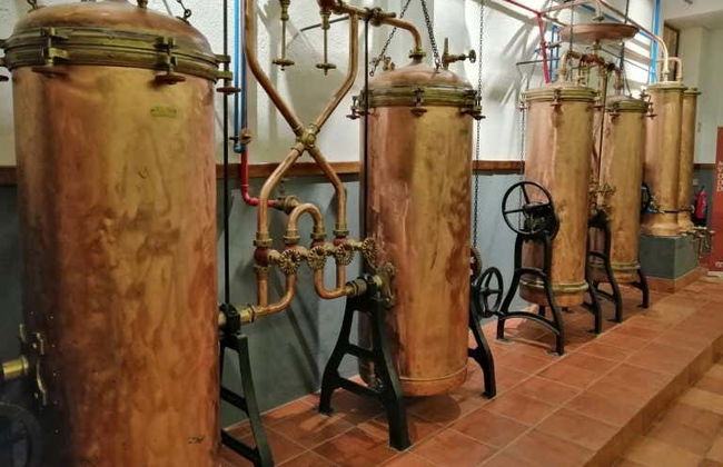 Dão Region Wine Tour - Photo 2