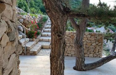 Shimmer & Shine - Foto 16