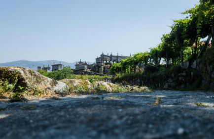 Casa Rautau - Foto 16