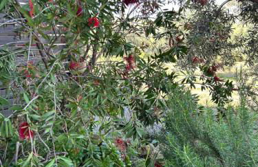 Victoria & Olivar - Foto 26