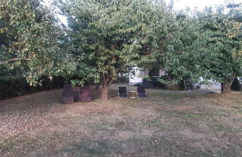 Ferienhaus am grossen See in Fuerstenwerder - Photo 28