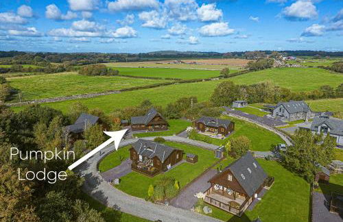 Scandi Cabin in Heart of Anglesey with Parking - Foto 18