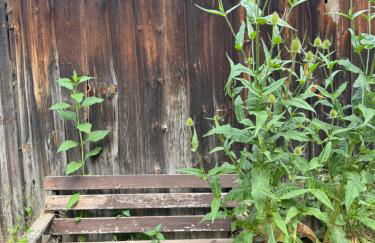 Ferienhaus Glücklich am Bach - Foto 8