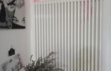 La vie en rose - Photo 25