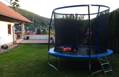 Mayntz' Albjuwel - Foto 2