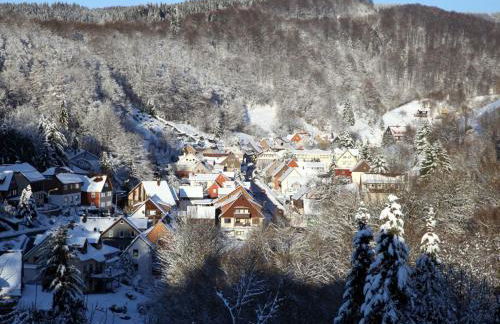 Apartment Gemütliche Ferienwohnung in Lerbach by Interhome - Foto 14