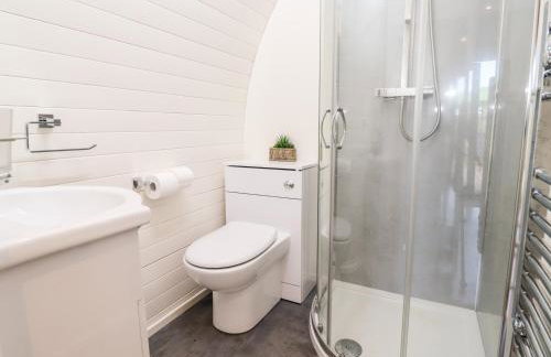 Goose Pod at Salford Court Farm Fishing Cabins - Foto 8