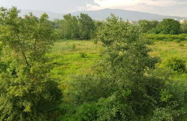 Apartman ARINA - Foto 36