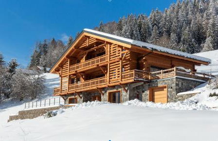 Chalet La Manigodine - Photo 66