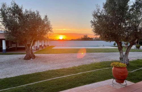 Casa das Oliveiras - Foto 8