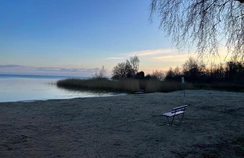 Bodden-Adler - Foto 13