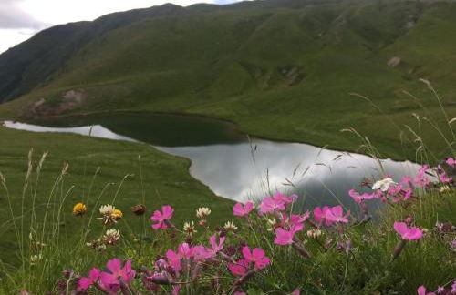 A cjase di Diego - Foto 15