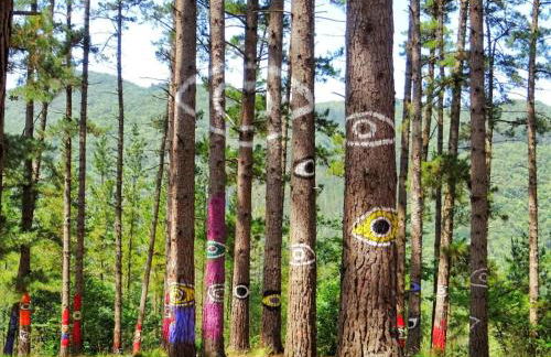 Laga Blue Surf - Foto 45