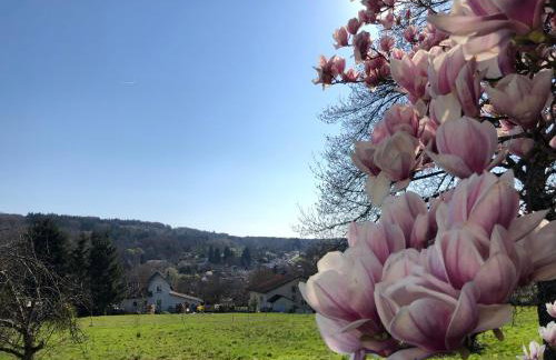 Magnifique Logement f2 Vosges La vôge-les-bains - Foto 1