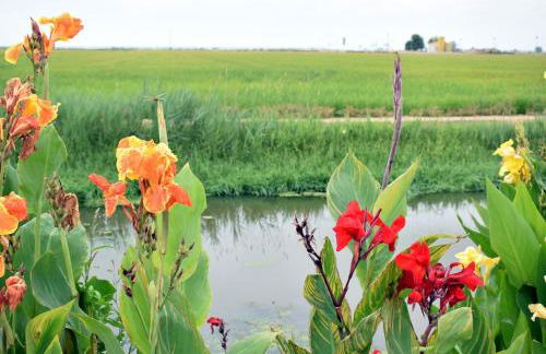 Casa Els Muntells - Foto 16