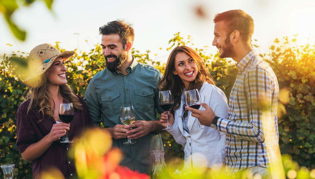 Mt Tamborine Wine Tour - Foto 3