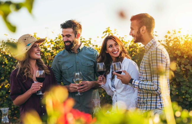 Tour do vinho pela montanha Tamborine - Foto 3