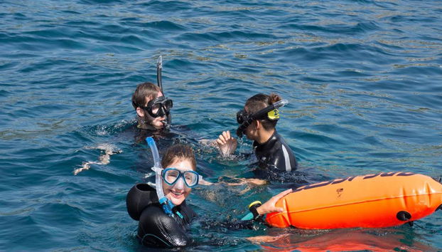 Experiência de Snorkeling nas Ilhas Malgrats – a partir de Santa Ponsa - Foto 5