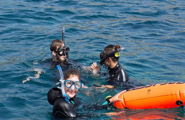 Experiência de Snorkeling nas Ilhas Malgrats – a partir de Santa Ponsa - Foto 5