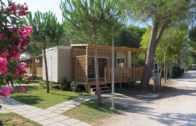 Campeggio del Forte - Foto 16