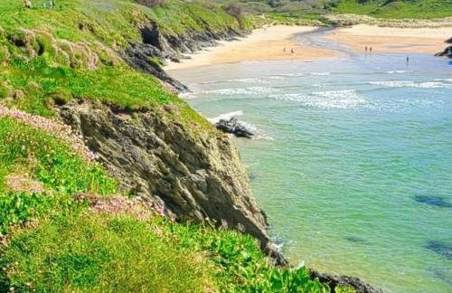 Dog Friendly Holiday Home in Newquay Cornwall - Foto 59