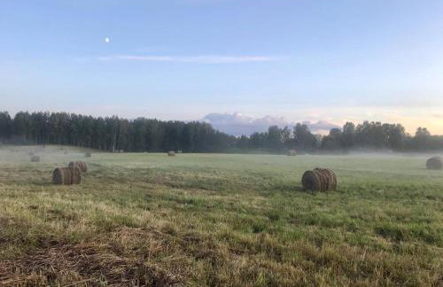 Srokowski Dwór 1 - Stara Kuźnia - Prywatna Sauna ! - Foto 32