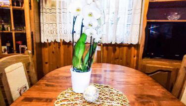 Apartmani Ankica - Foto 5