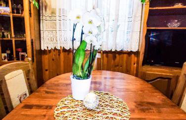 Apartmani Ankica - Foto 5