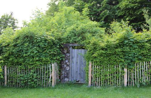 Ferienhaus Waldidyll - Foto 8