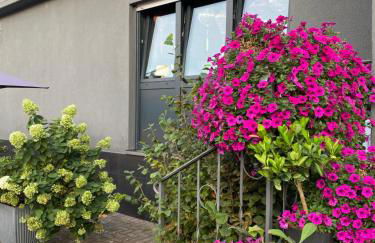 1 grosse elegante Zimmerwohnung 5 Minuten zu Fuss in die Stadtmitte - Foto 40