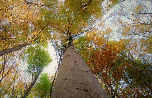 Agriturismo La Guinza - Pool & Relax - Foto 28
