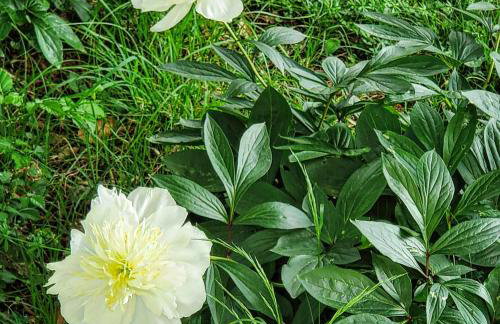 Hilltop Villa Risika - Foto 17