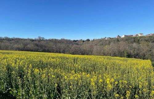 Maison de village Cœur Andéol - Foto 21