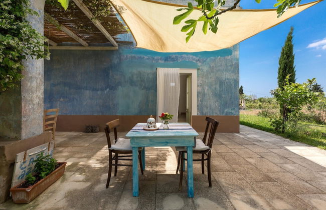 Le Cernicole - Foto 37