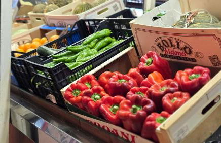 Munilla Family Beach by Del Parque Flats - Photo 13