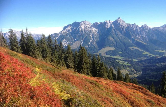 Studio in Kleinarl Near Ski Amade Slopes - Foto 32