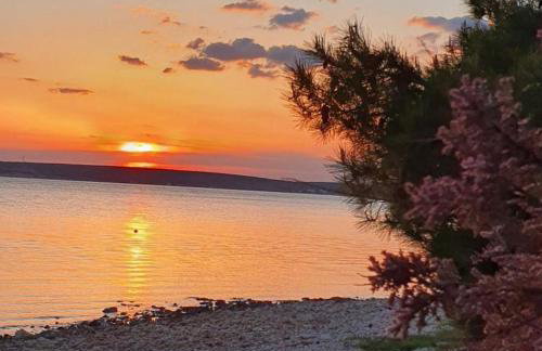 Apartment IB Studio Pag4 - Foto 16