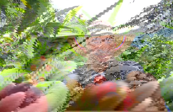 Casa Tien - Photo 53