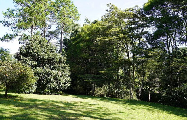 McCarthy Grove - Photo 20