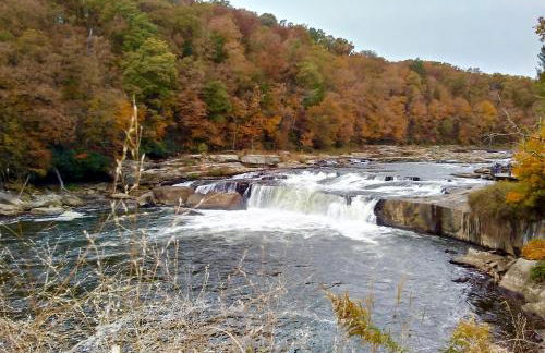 Paddler's Lane Retreat - Foto 45