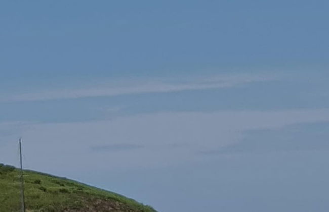 Andorinhas - Foto 49