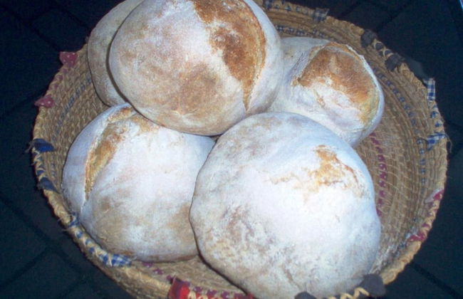 Agriturismo Agrifoglio - Foto 39