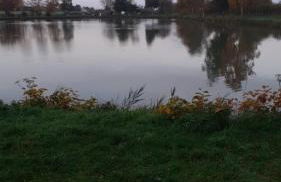 Le Blason du Poête - Photo 34