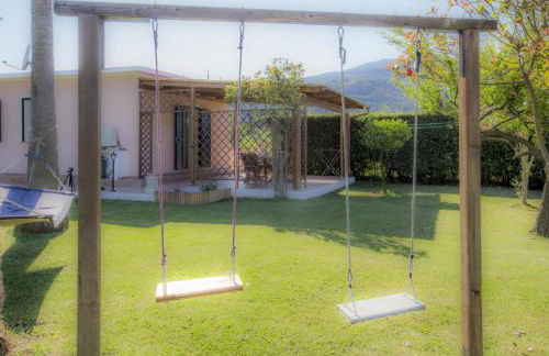 Albero del Pepe 2 - Goelba - Foto 21