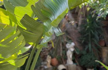 House of sunset 3 - Photo 22