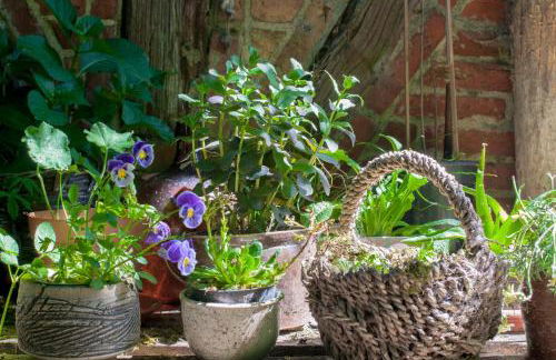 Fewo Kerzenzimmer - Märchen aus Wachs und Flamme - Foto 25